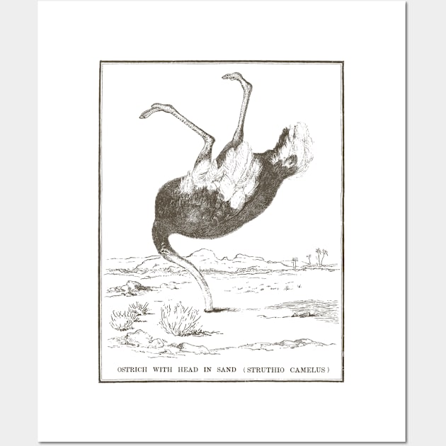 Ostrich with its head in the sand Wall Art by jurjenbertens